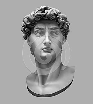 3D rendering of Michelangelo`s David bust isolated on gray