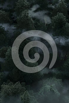 3D rendering of misty forest in aerial view