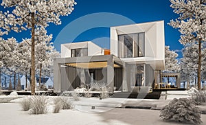 3d rendering of modern house with garden in winter