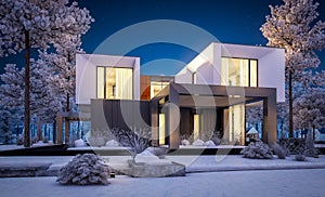 3d rendering of modern house with garden in winter night