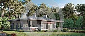 3d rendering of a modern private house in the pine grove
