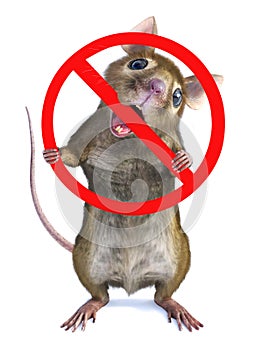 3D rendering of a mouse biting on prohibition sign