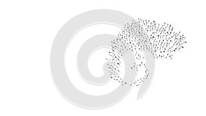3d rendering of nails in shape of symbol of chameleon with shadows isolated on white background