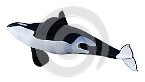 3D Rendering Orca Killer Whale on White