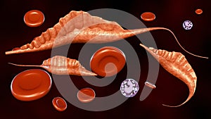 3d rendering protozoans of the genus Trypanosoma