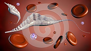 3d rendering protozoans of the genus Trypanosoma