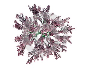 3d rendering of a realistic green top view tree isolated on whit