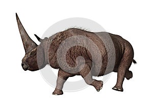 3D Rendering Rhinoceros Elasmotherium on White