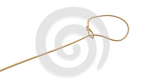 3d rendering of a rope tied in a lasso and flying on a white background.