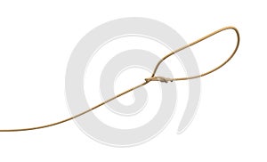 3d rendering of a rope tied in a lasso and flying on a white background.