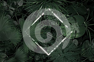 3d rendering of rotated square neon light covered with tropical leaves. Flat lay of minimal natural style concept