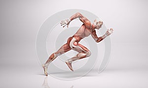 3D Rendering : a running male mesomorph character illustration with Muscle tissues
