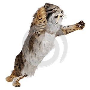 3D Rendering Sabertooth Tiger on White