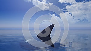 3D rendering of shark fin above wate