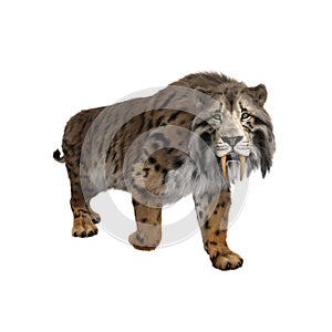 3D rendering of a Smilodon, the extinct pre-historic Sabre-tooth