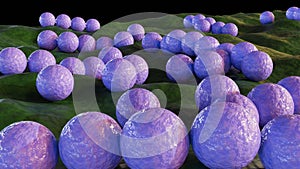 3d rendering of streptococcus bacterium