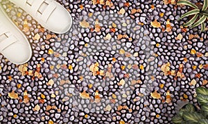 3d rendering top view plant and sneaker on colorful pebble ground with sun glare