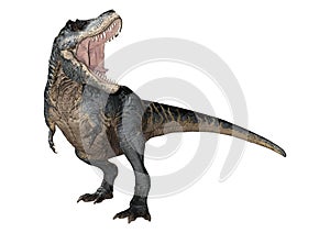 3D Rendering Tyrannosaurus Rex on White