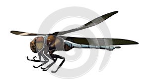 3D Rendering Widow Skimmer Dragonfly on White