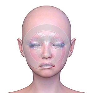 3D rendering of a woman\'s face close-up