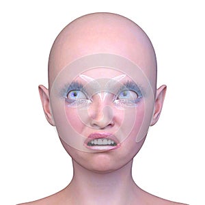 3D rendering of a woman\'s face close-up