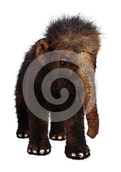 3D Rendering Woolly Mammoth Baby on White