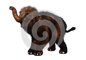 3D Rendering Woolly Mammoth Baby on White