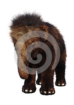 3D Rendering Woolly Mammoth Baby on White