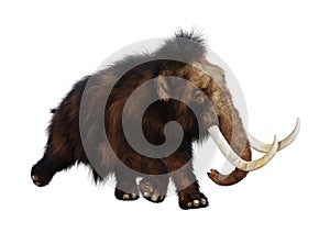 3D Rendering Woolly Mammoth on White