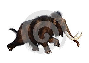 3D Rendering Woolly Mammoth on White