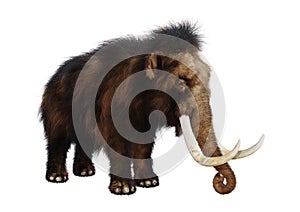 3D Rendering Woolly Mammoth on White