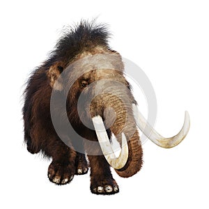 3D Rendering Woolly Mammoth on White