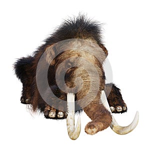 3D Rendering Woolly Mammoth on White