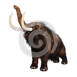 3D Rendering Woolly Mammoth on White