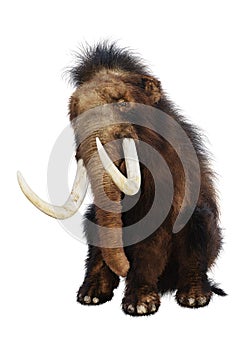 3D Rendering Woolly Mammoth on White