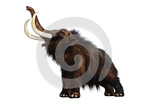 3D Rendering Woolly Mammoth on White