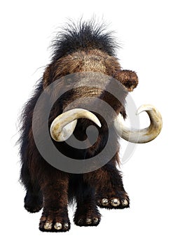 3D Rendering Woolly Mammoth on White