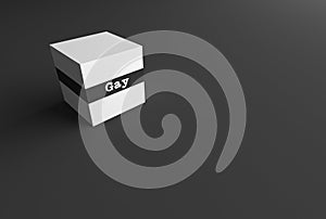 3D RENDERING WORD Gay WRITTEN ON WHITE CUBE