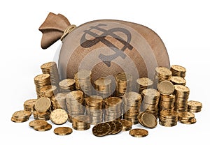 3D sack of money and coins