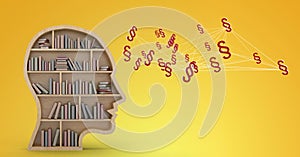 3D Section symbol icons and book case head