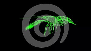 3D Shrimp on black background. Marine Underwater World concept. Restaurant delicacy. Business advertising backdrop. For