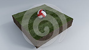 3D Soccer ball of grass patch