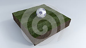 3D Soccer ball on grass patch