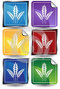 3D Sticker Set - Grain
