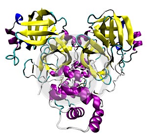 3D structure of coronavirus SARS-CoV-2 main protease, a target for medications against COVID-19. PDB 6LU7