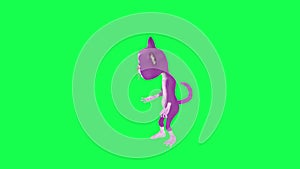 3D talking purple cat looking at her hands and feet from right angle on green screen 3D people walking background chroma key Visua