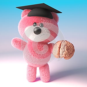 3d teddy bear with pink fluffy fur wearing a mortar board and holding a human brain, 3d illustration