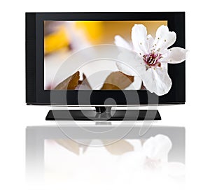 3D television. TV LCD in HD 3D.