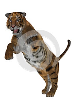 3D tiger