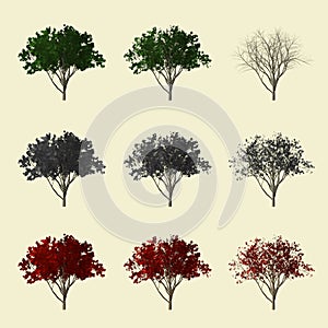 3d tree collection